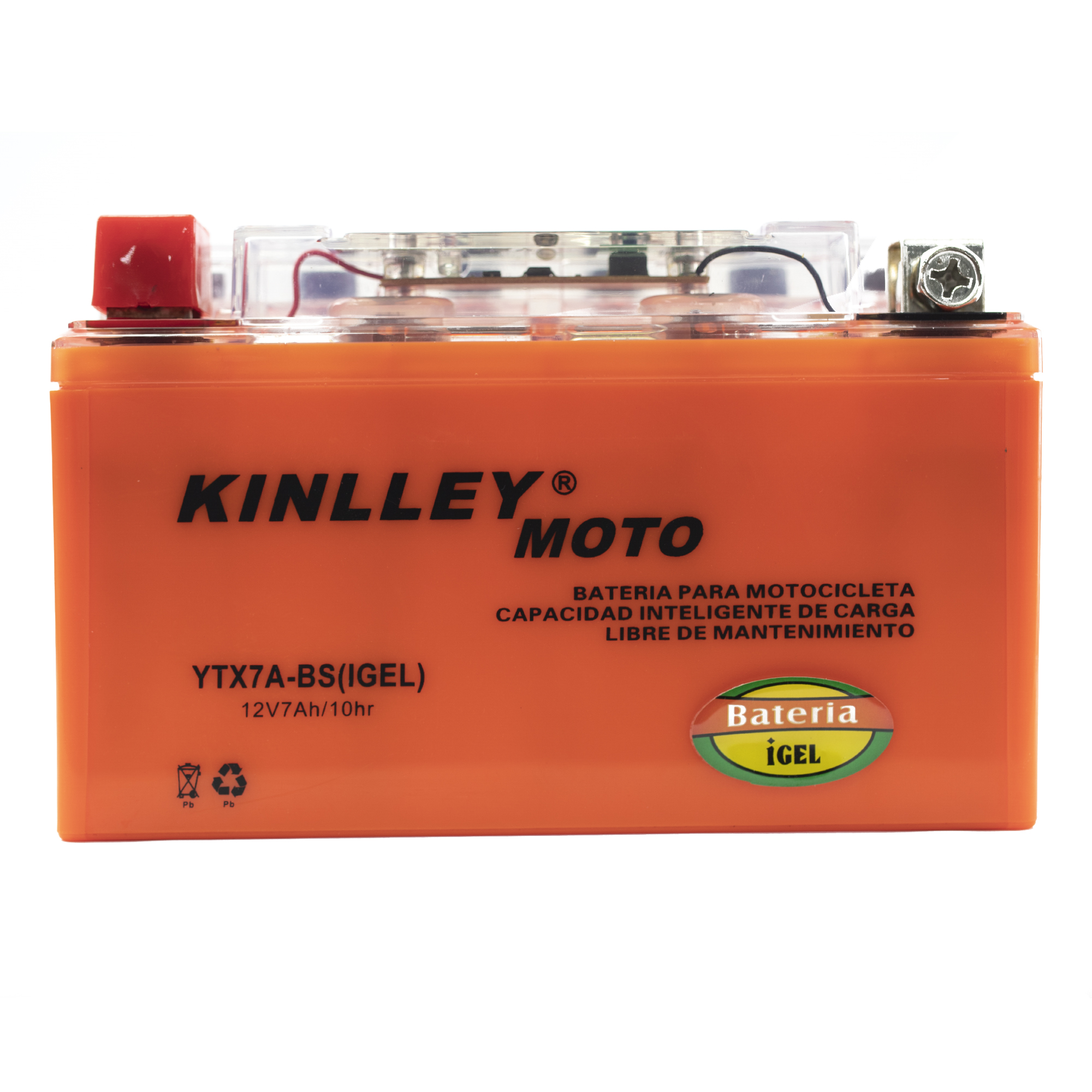 Bicimex Detalles Bateria para motocicleta YTX14-BS polo invertido USA con  acido Yuasa